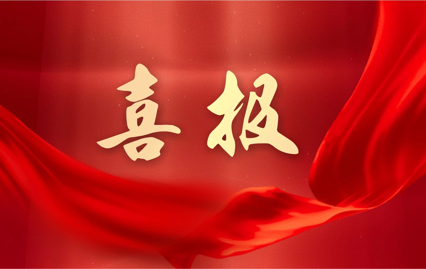 營收凈利雙增長！依頓電子2025年一季度經(jīng)營業(yè)績續(xù)寫高質(zhì)量發(fā)展華章